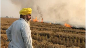 Farmer burning crop residue